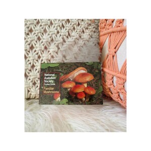 Familiar Mushrooms Pocket Guide by National Audubon Society - Paperback Mushroom Handbook Book