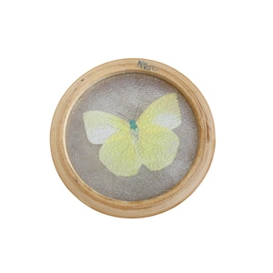 Puede incluir: Posavasos redondo de madera con tapa de cristal con un dise&ntilde;o de mariposa amarilla. La mariposa tiene detalles blancos y un cuerpo turquesa. El posavasos es de madera clara y tiene la palabra "JAPAN" impresa en el borde.