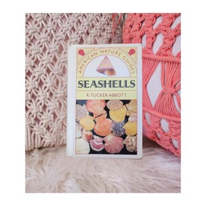 Seashells - American Nature Guides Paperback Shell Identification Book