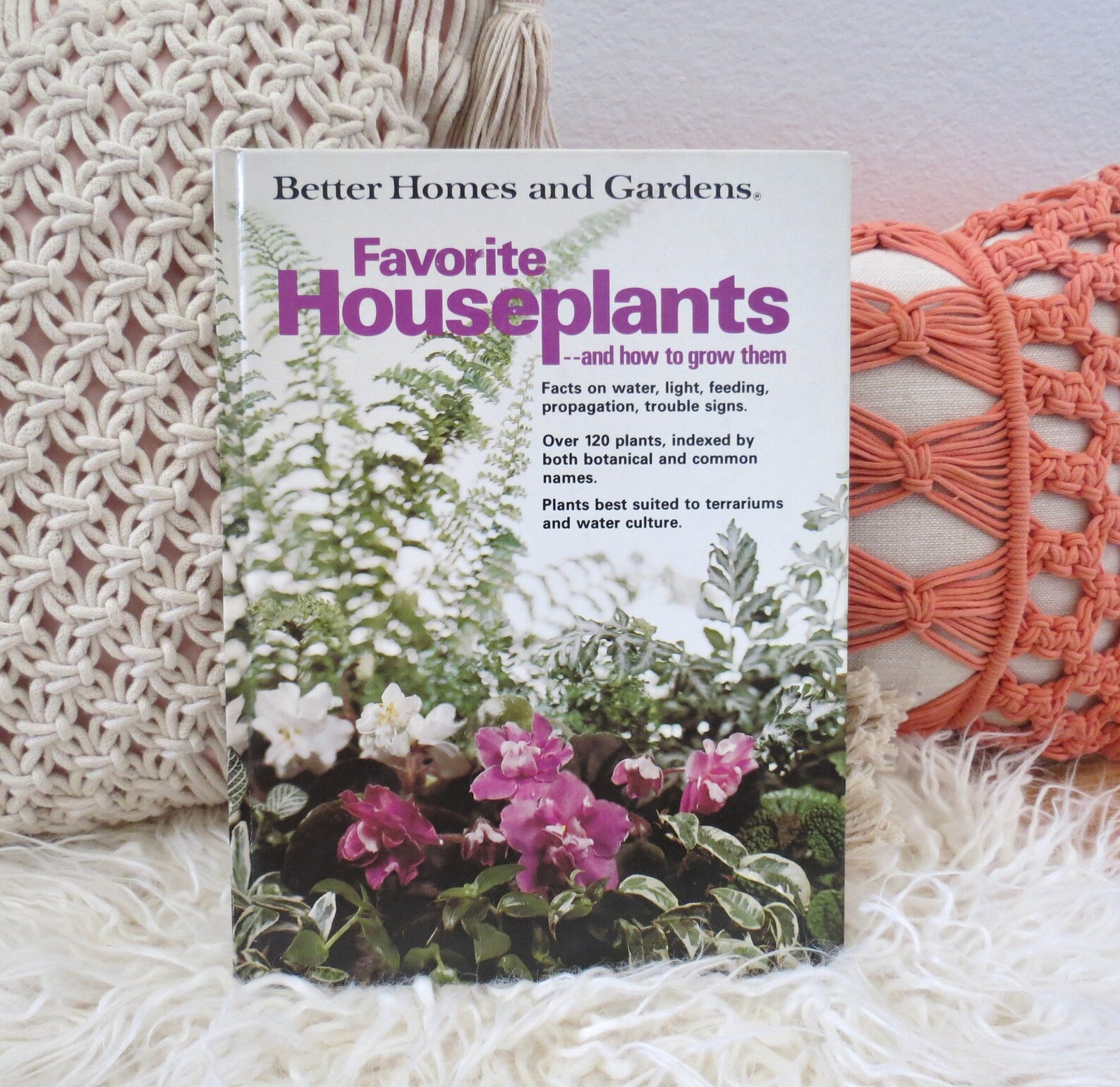 House Plant Book Vintage Houseplant Guide Better Homes and Etsy
