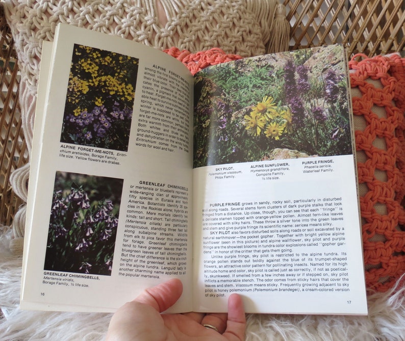 Wildflower Book Vintage Flower Field Guide Etsy