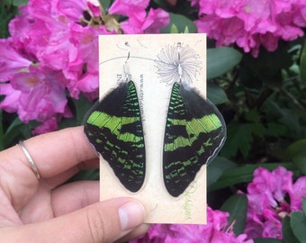 Real butterfly wing earrings, madagascar sunset moth, green, fairy wings, magical, festival