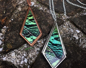 Madagascar Sunset Moth glass locket necklace, real butterfly wings, green, iridescent, entmologist gift, statement, ethically sourced