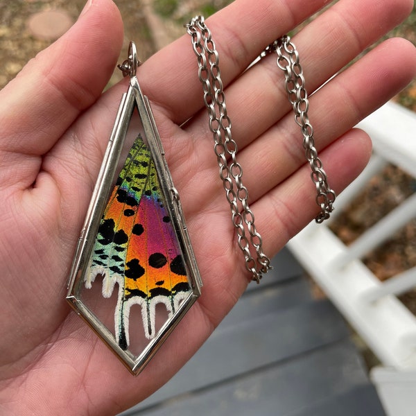 Real Butterfly Wing Necklace, madagascar sunset moth, glass locket, statement, gift, ethically sourced