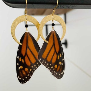 Real Butterfly Wing Earrings, Monarch, Gold Crescent Moon, statement, entomologist, cruelty free, ethically sourced