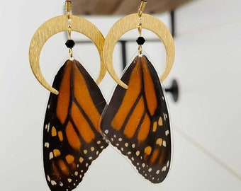 Real Butterfly Wing Earrings, Monarch, Gold Crescent Moon, statement, entomologist, cruelty free, ethically sourced
