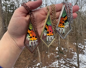 Real Butterfly Wing Necklace, madagascar sunset moth, glass locket, statement, gift, ethically sourced