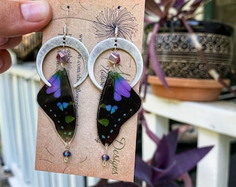 Real Butterfly Wing Earrings, graphium Weiskei, purple spotted swallowtail, crescent moon, ethically sourced, fairy wings