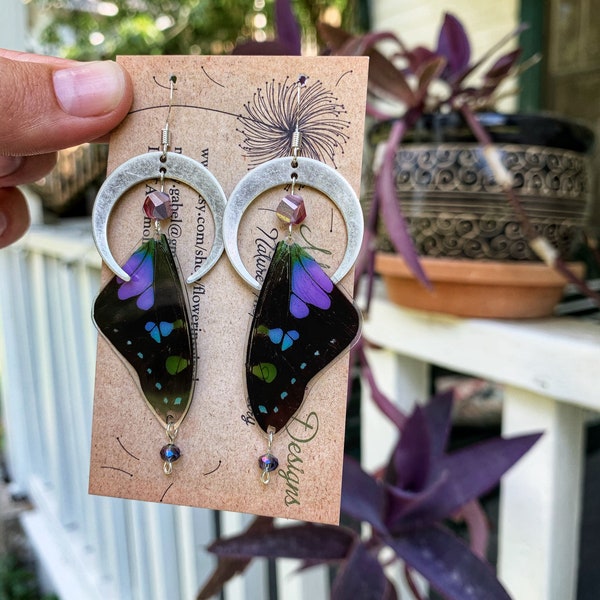 Real Butterfly Wing Earrings, graphium Weiskei, purple spotted swallowtail, crescent moon, ethically sourced, fairy wings