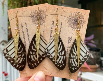 Real Butterfly Wing Earrings, Gold Spikes, Ethical Zebra Print Jewelry