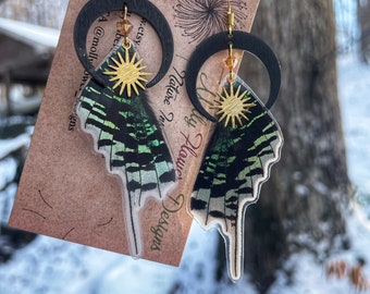 Real Butterfly Wing Earrings, Urania Leilus, crescent moon, ethically sourced, cruelty free