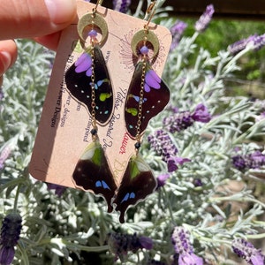 Real Butterfly Wing Earrings, Graphium Weiskei, purple spotted swallowtail, layered, crescent moon, whimsical, fairy wings,ethically sourced