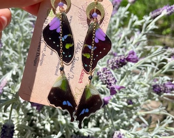 Véritables boucles d'oreilles aile de papillon, Graphium Weiskei, machaon à pois violets, superposés, croissant de lune, fantaisiste, ailes de fée, produits de source éthique
