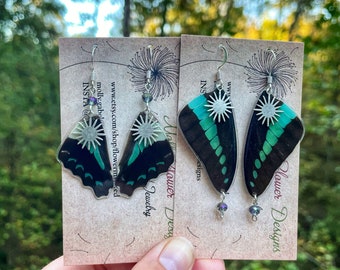 Real Butterfly Wing Earrings, turquoise, Graphium sarpedon, common bluebottle, gold, silver, mermaid, ethical fashion, statement