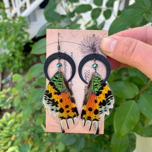 Orecchini con ali di farfalla vere, falena del tramonto del Madagascar, luna crescente, argento, oro, nero, turchese, provenienza etica, boho, arcobaleno