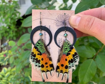 Real butterfly wing earrings, Madagascar Sunset Moth, crescent moon, silver, gold, black, turquoise, ethically sourced, boho, rainbow