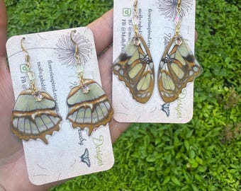 Real Butterfly Wing Earrings, Malachite, fairy princess, barbie, statement, ethically sourced
