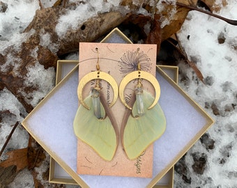 Luna Moth Earrings, real butterfly wing earrings, gold crescent moon, wire wrapped aura quartz, magical, statement, cruelty free