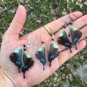Real Butterfly Wing Earrings, graphium weiskei, purple spotted swallowtail, fairy wings, festival, boho, gift