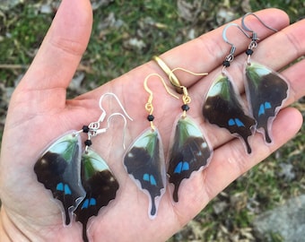 Real Butterfly Wing Earrings, graphium weiskei, purple spotted swallowtail, fairy wings, festival, boho, gift