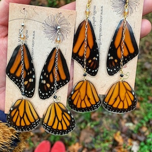 Real butterfly wing earrings, monarch, layered, whole butterfly, silver, gold, statement, ethical