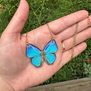 Echte Schmetterlingsflügel Halskette, BLAUE HAARSTRICK Halskette, Insektenflügel, Harz, ätherisch, Statement, ethisch