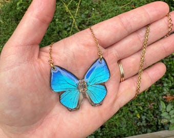 Blue Hairstreak Butterfly Wing Necklace, Resin Coated, Clear Quartz, Ethical