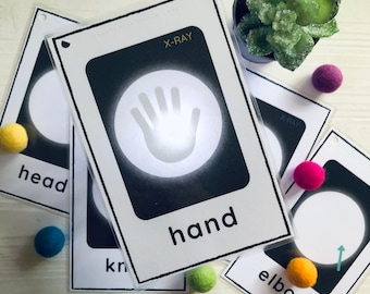 Parts of the Body Flash Cards, Early Learning, Preschool Printables, Learning the Parts of the Body, Body Part Identification, Anatomy Cards