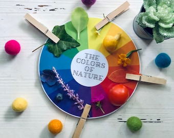 Nature Color Wheel, Nature Scavenger Hunt, Nature Study, Preschool Printable, Color Recognition, Homeschool, Nature Walk, Nature Activity