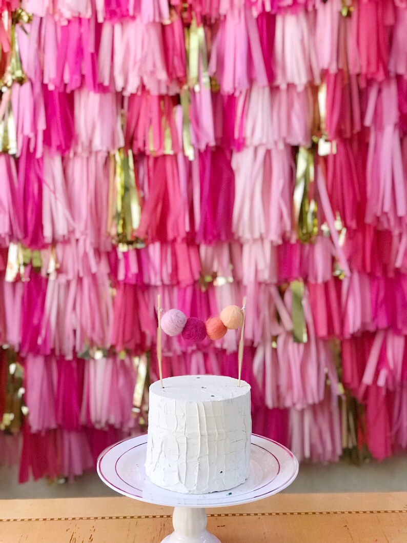8 Piece Tissue Paper Tassel Fringe Backdrop wall Etsy