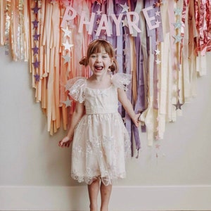 ready to Ship Option Tablecloth Fringe Backdrop, Flagtape Backdrop, Fringe Backdrop, Birthday, Party Theme, Customizable