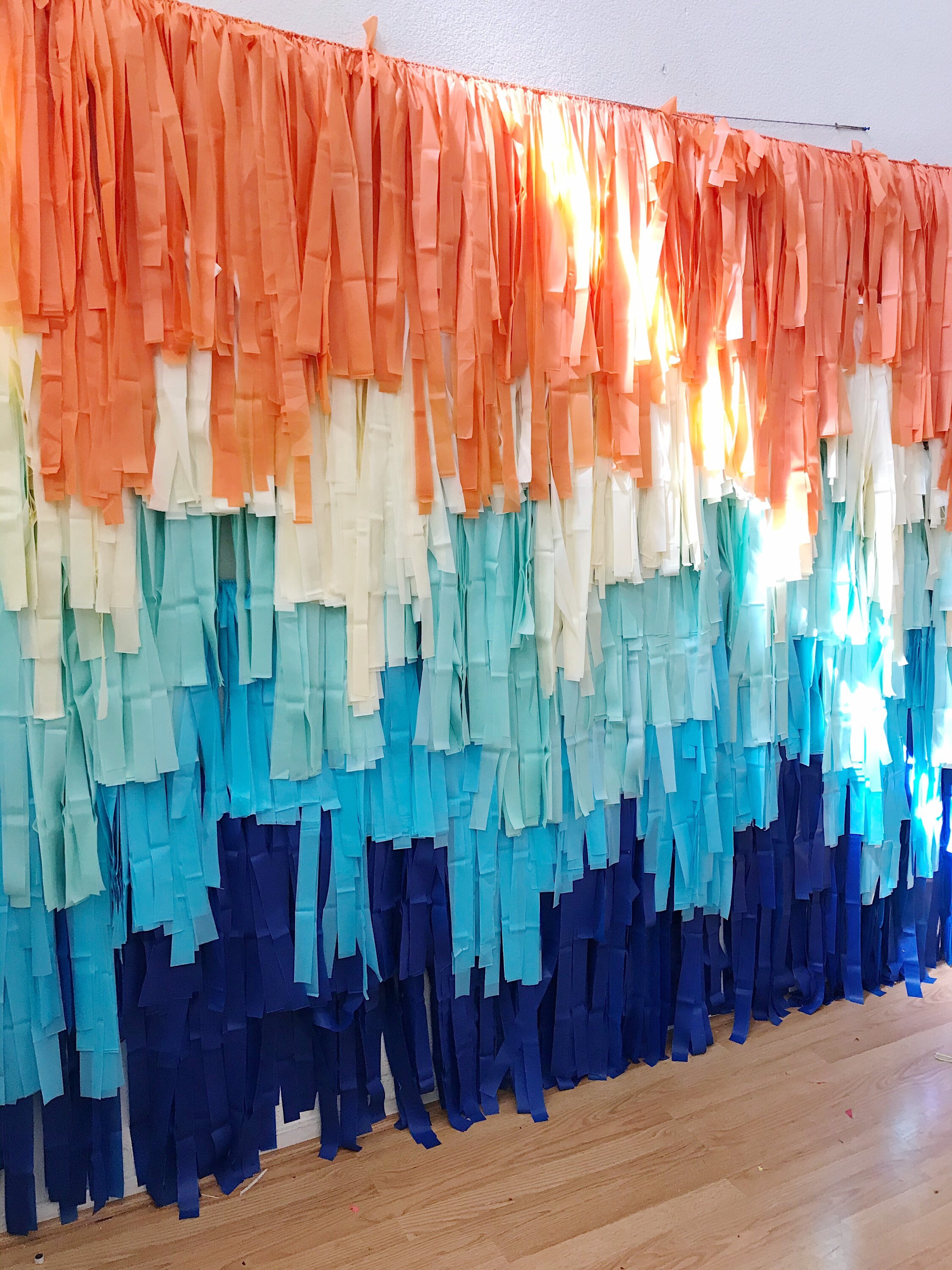 10 Strand Plastic Fringe Backdrop Plastic Streamers Party Etsy