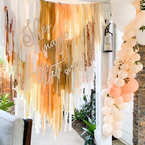 3 strand plastic fringe backdrop, plastic streamers, rustic baby shower, fringe wall, plastic fringe wall, tablecloth fringe, party, theme,