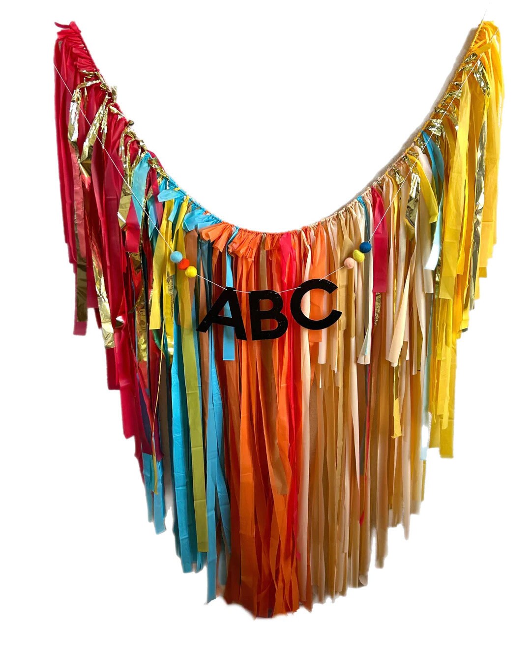 Back to School Plastic Fringe Backdrop Etsy