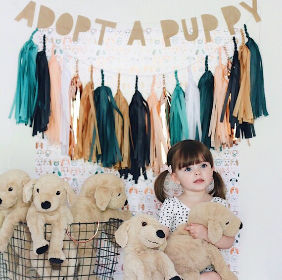 Tassle Bunting Theme Garland Party Streamers Birthday Etsy