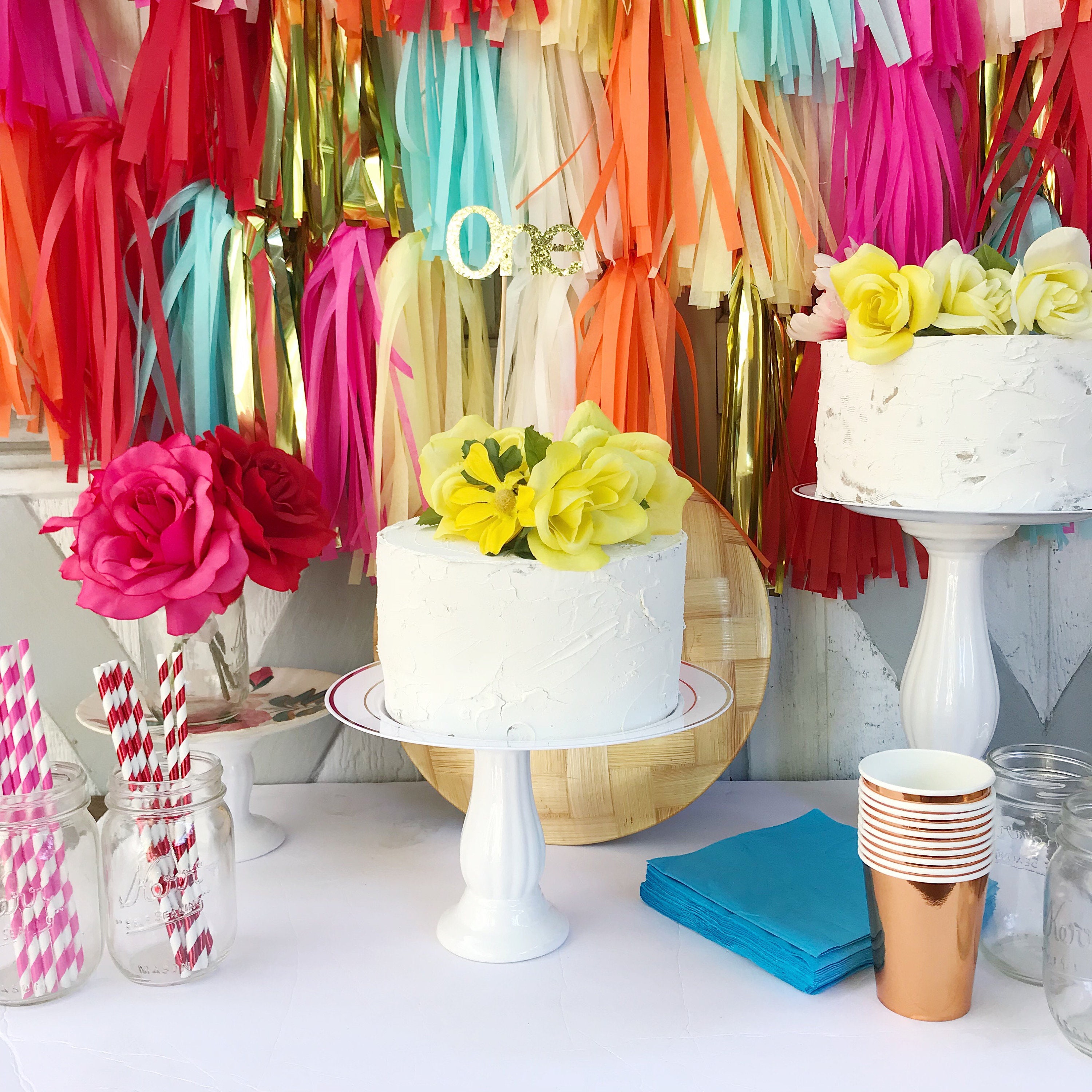 Fringe Photo Backdrop Tassel Backdrop Tassle Backdrop 4-8ft | Etsy