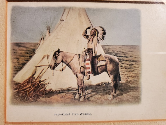 1903 USA postcard female cowboy 1903 USA postcard female cowboy