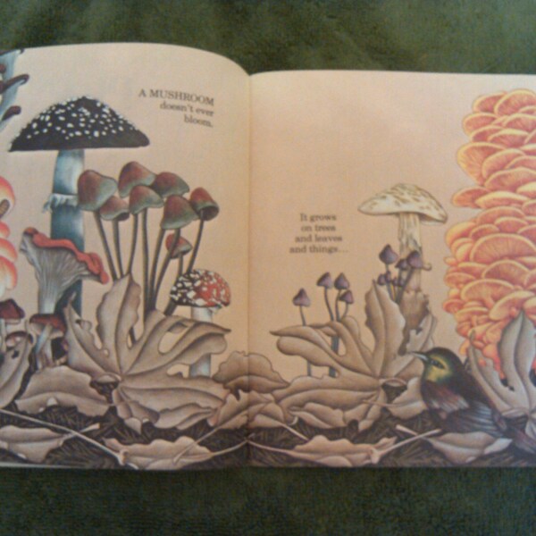 Super Cool Rare Mushroom Art Book Along with Other Plants that never ever bloom ViNTAGE 1984 SHColastiC Book paper back soft cover