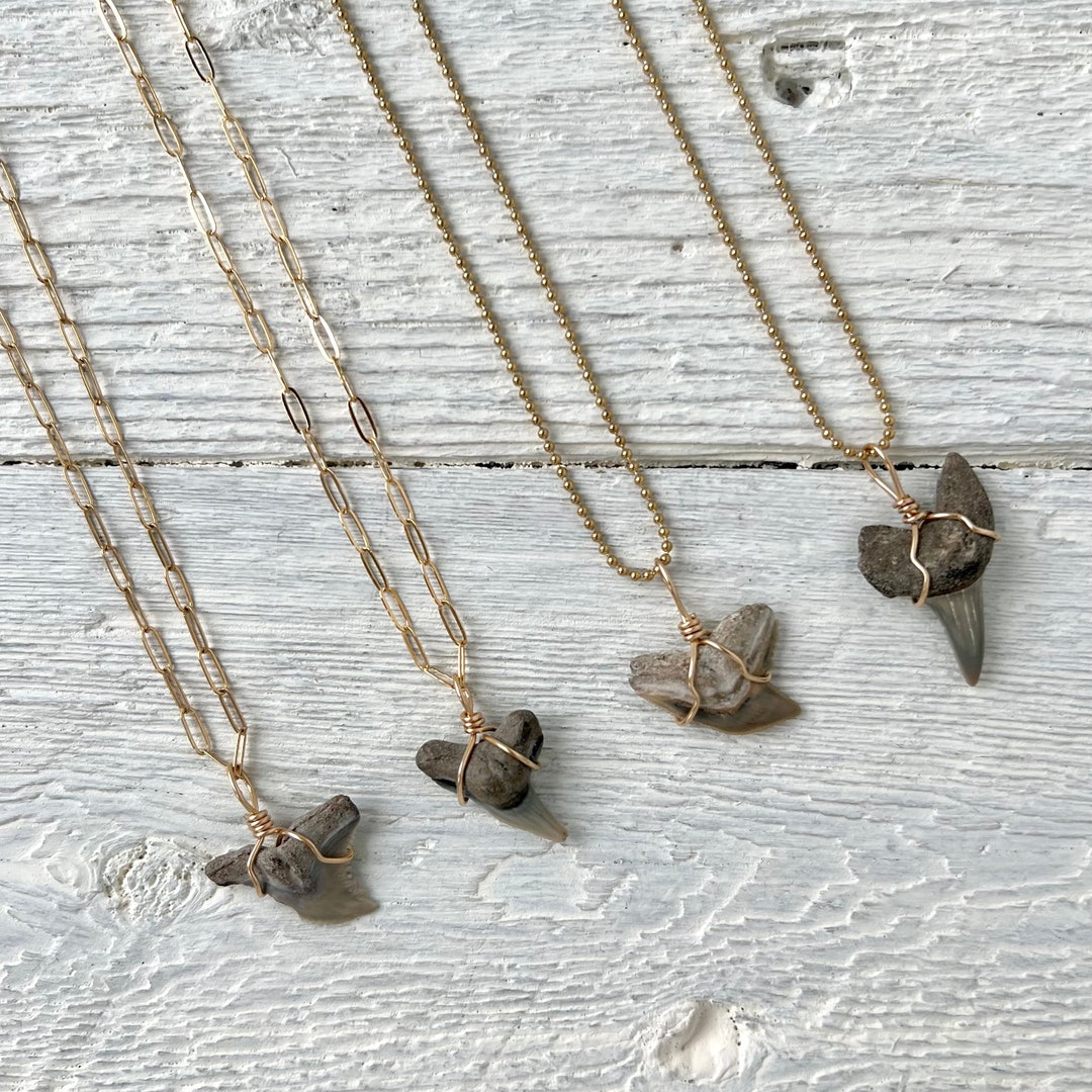Fossilized Shark Tooth Necklace Real Tiny Shark Tooth Necklace Beach