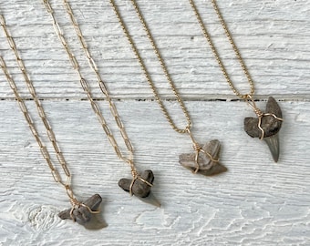 Fossilized Shark Tooth Necklace » Real Tiny Shark Tooth Necklace » Beach Babe Necklace » Gold Layering Necklaces » Boho Fossil