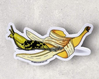 Banana Slug - by Decaffeinated Designs (2x4) Waterproof, Weatherproof and Durable Vinyl Stickers