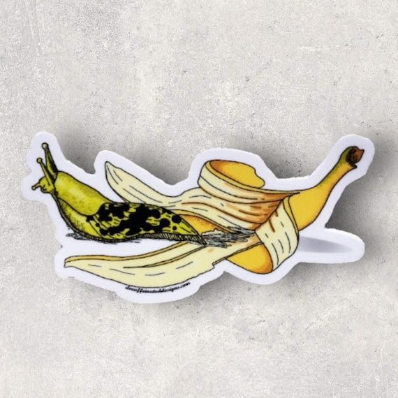 “Banana Slug Surprise” Vinyl Sticker – 3x3 Inches
Bring a splash of humor to your sticker collection with this 3x3 vinyl sticker that reimagines banana slugs as little creatures emerging from bananas! Inspired by life in Southeast Alaska—where slugs aren’t exactly a farmer’s favorite—this quirky design combines the playful with the unexpected. Made from durable, waterproof vinyl, this sticker is perfect for water bottles, laptops, journals, and more. It’s a fun way to celebrate the outdoors, showcase a unique piece of Alaskan charm, and get a laugh from fellow nature enthusiasts!