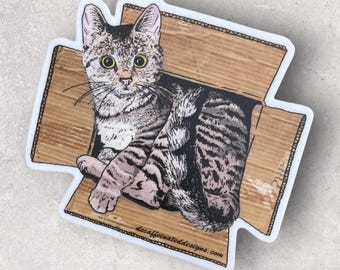 Kitty in a box- by Decaffeinated Designs 4x4 inch vinyl sticker