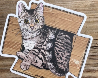 Kitty in a box- by Decaffeinated Designs 4x4 inch vinyl sticker