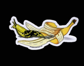 Banana Slug - by Decaffeinated Designs (2x4) Waterproof, Weatherproof and Durable Vinyl Stickers