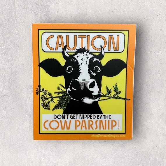 Cow parsnip is a plant that grows rampant here in southeast Alaska. Trail builders know that when clearing to wear gloves because when exposed to UV light the water from the cut plant will give you a nice chemical burn. 3x3 inch vinyl sticker, Waterproof, weatherproof and durable.