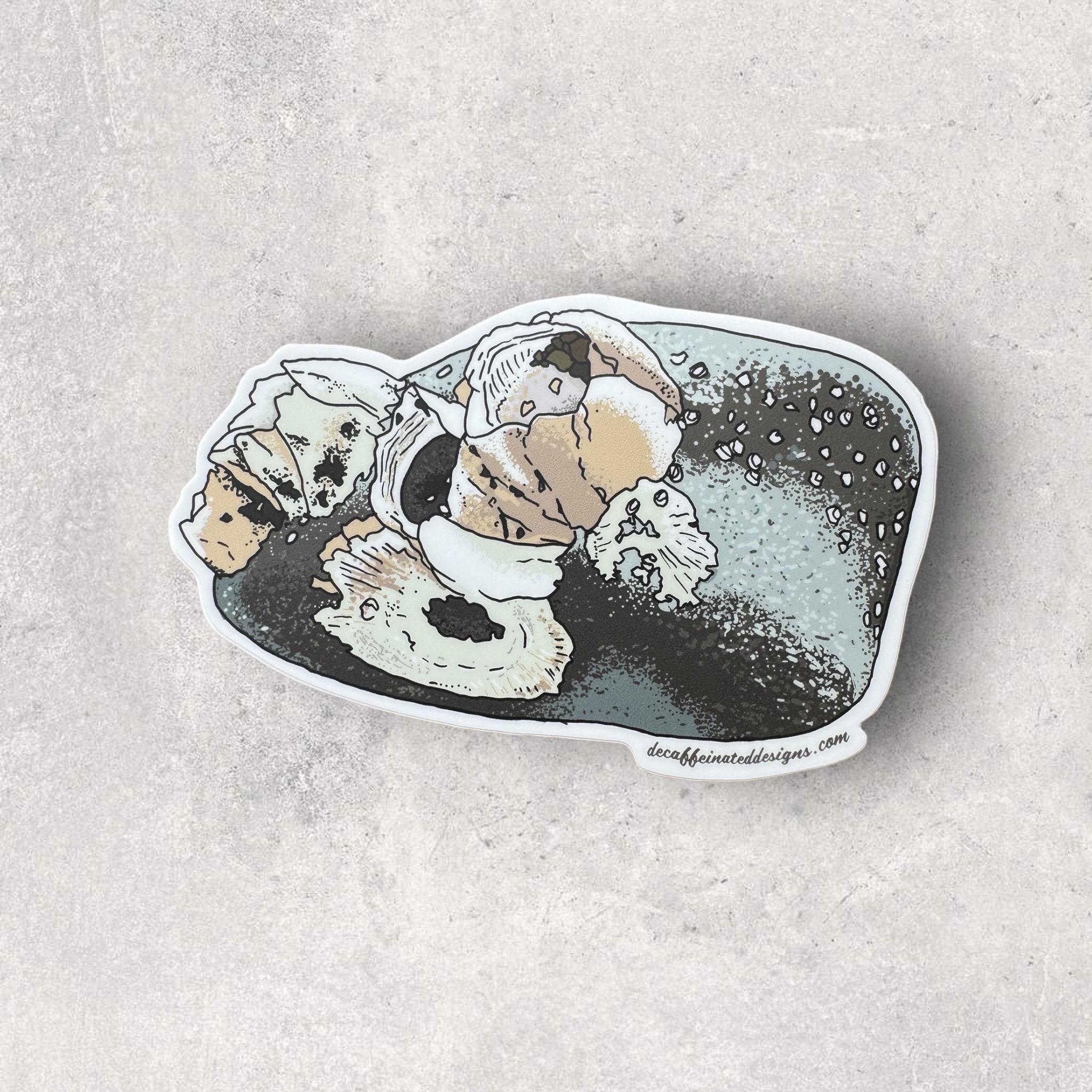 Barnacle Rocks Sticker Pack - by Decaffeinated Designs 4x4 Inch Vinyl ...