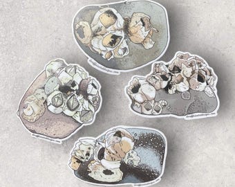 Barnacle Rocks Sticker pack - by Decaffeinated Designs 4x4 inch vinyl stickers