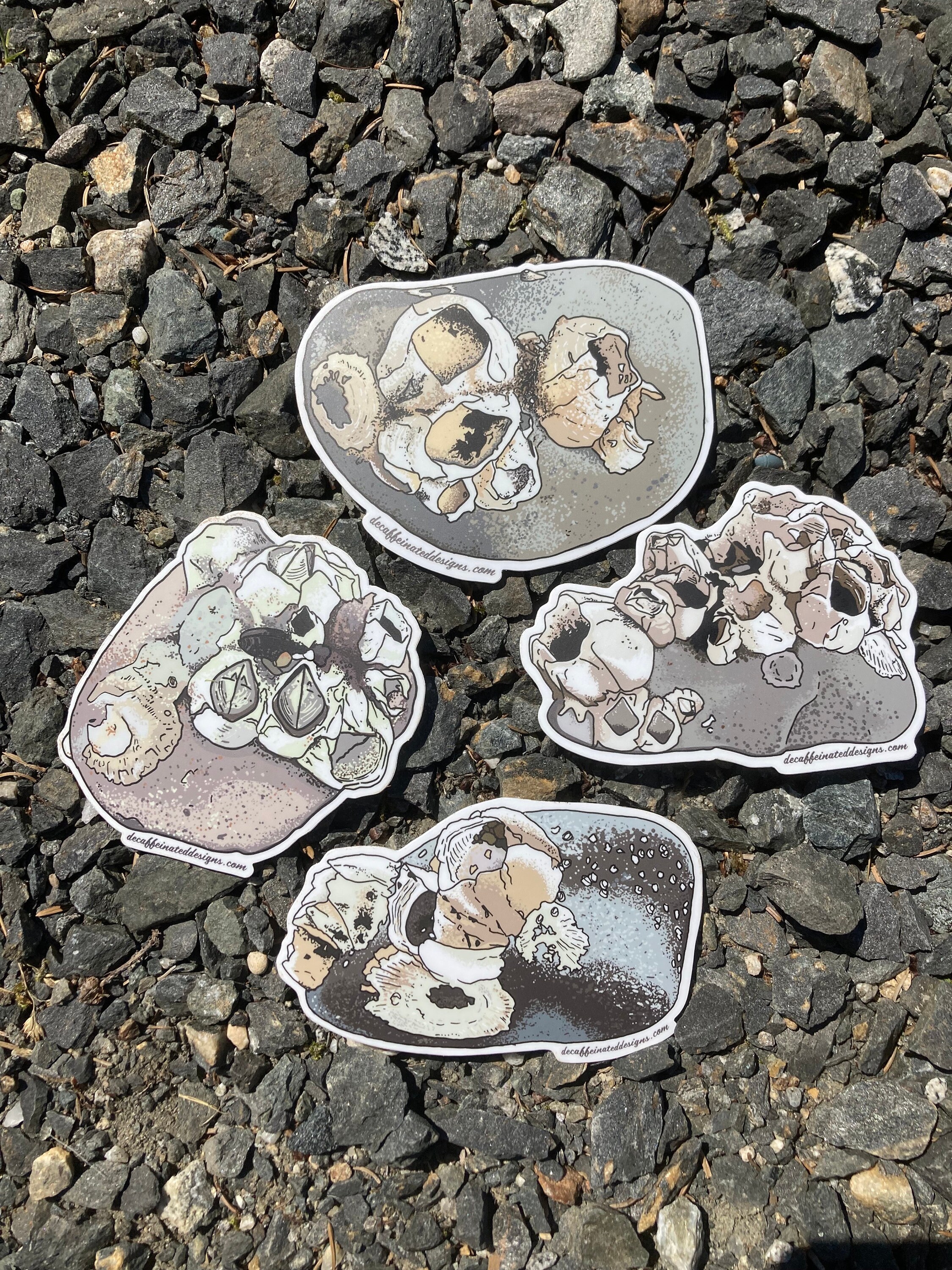 Barnacle Rocks Sticker Pack - by Decaffeinated Designs 4x4 Inch Vinyl ...
