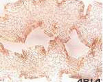 ITALIAN WIRE MESH: 6mm Champagne Italian Wire Mesh Ribbon 3 yard spool (9 feet / 108 inches)